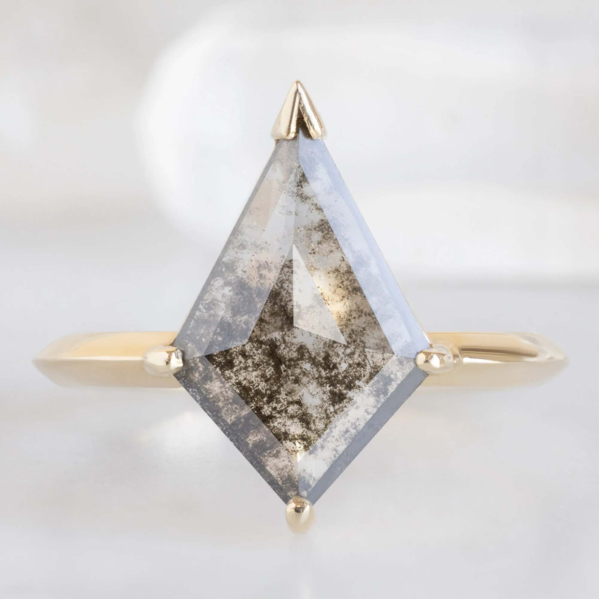 The Sage Ring | 1.4ct Lab Grown Salt and Pepper Kite in 14K Yellow Gold
