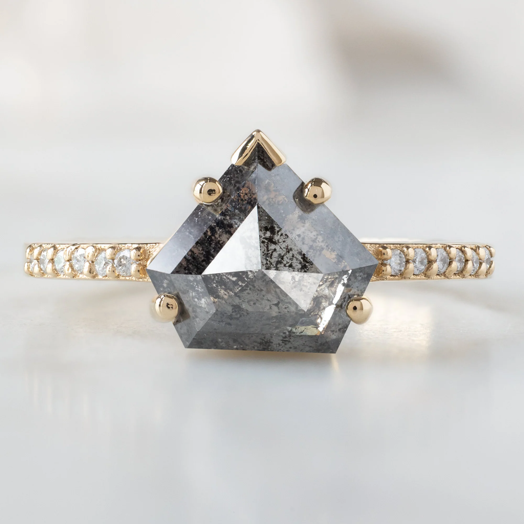 The Willow Ring | 2.19ct Shield Salt and Pepper Diamond in 14K Yellow Gold